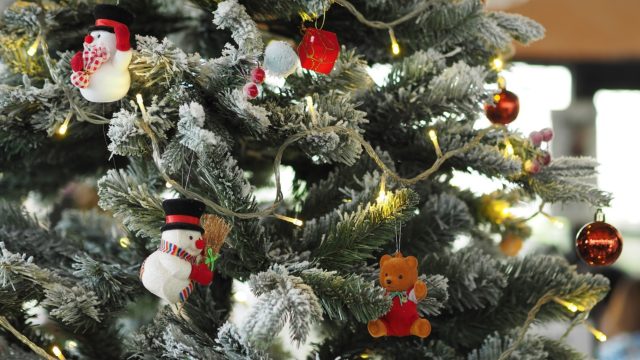 La Société d'histoire Mouillepied présente la chronique historique « The Christmas Tree League »